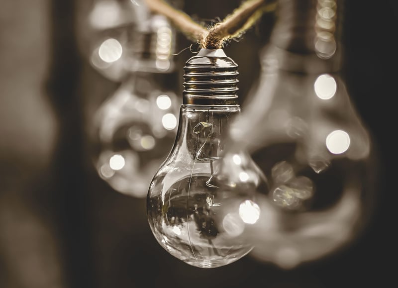 Sustainability Leader